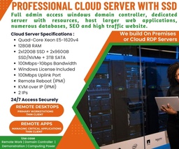 [PRVCS1] Professional Cloud Server with SSD
